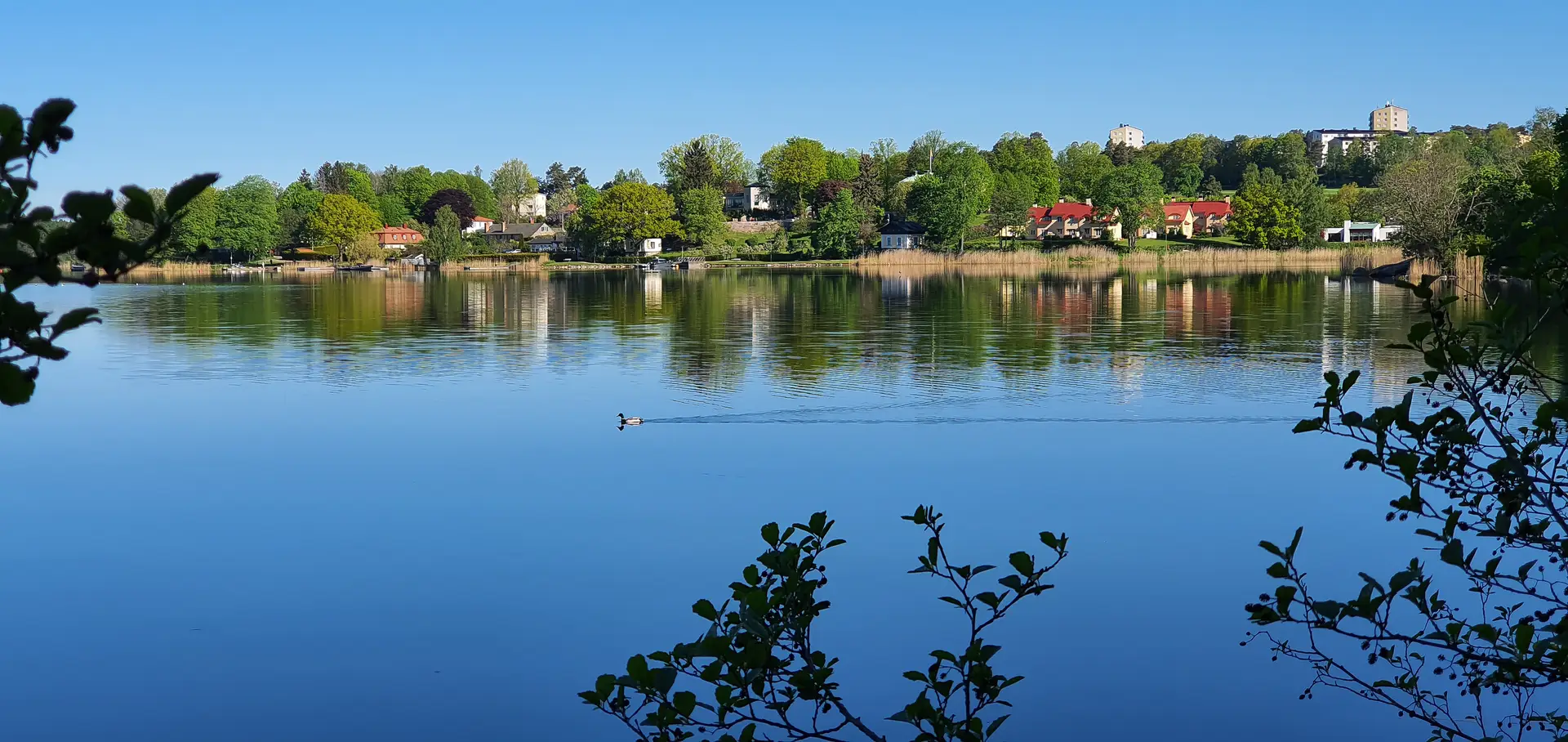 Specialister inom radonsanering i Bromma